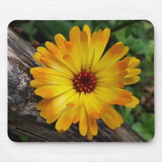 marigold on log mouse pad (Front)