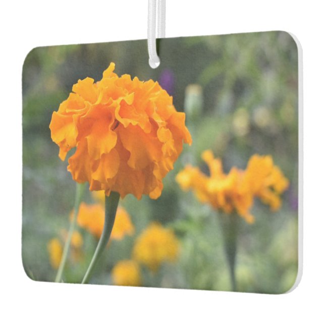 Marigold Orange Flower Nature Photography Garden Car Air Freshener (Left)