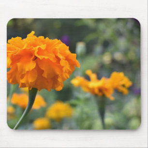 Marigold Orange Flower Nature Photography Garden Mouse Pad