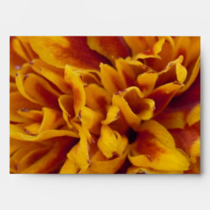 Marigold Petals Envelopes