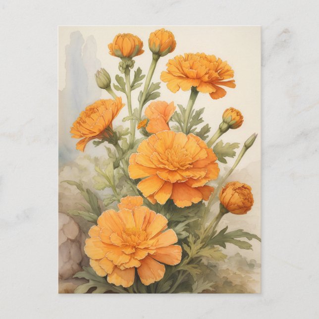 Marigold Postcard (Front)