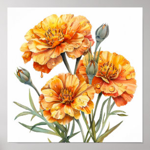 Marigold Print, Orange Flowers Wall Art 