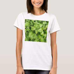 Marigold Seedlings Ladies T Shirt