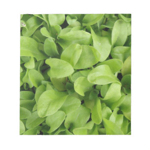 Marigold Seedlings Notepad