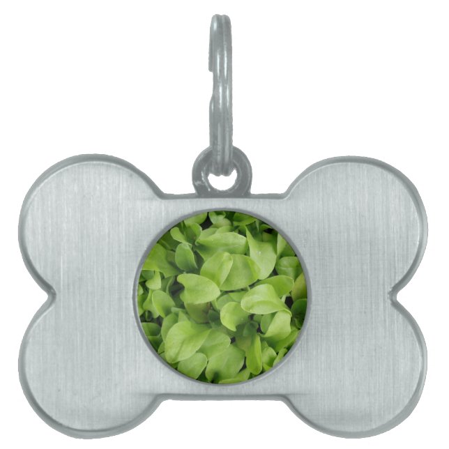 Marigold Seedlings Pet Tag (Front)