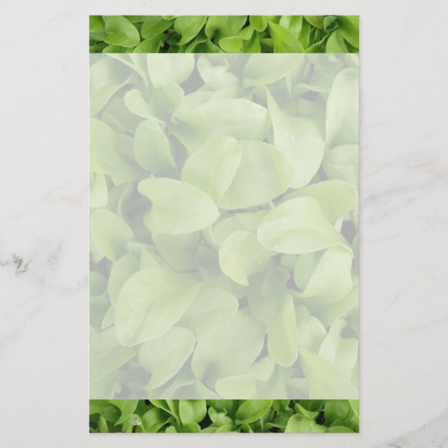 Marigold Seedlings Stationery (Front)