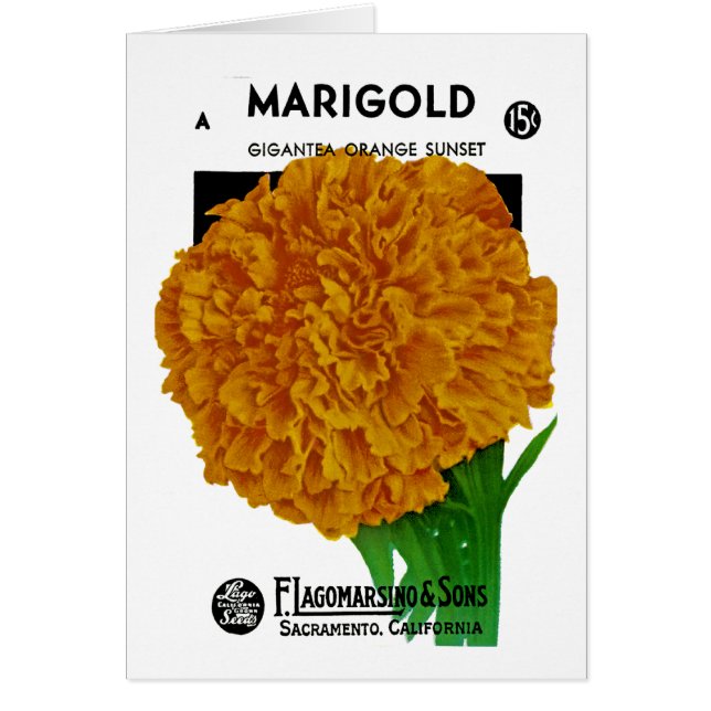 Marigold Vintage Seed Packet (Front)
