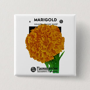 Marigold Vintage Seed Packet 15 Cm Square Badge
