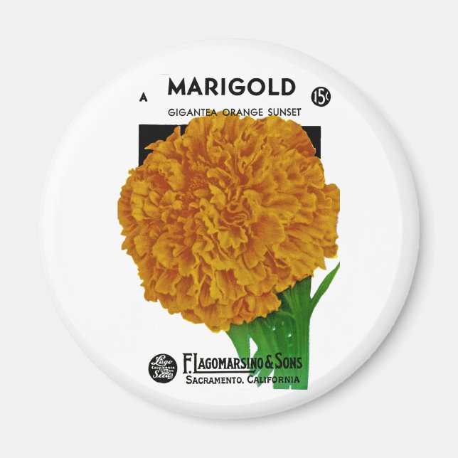 Marigold Vintage Seed Packet Magnet (Front)
