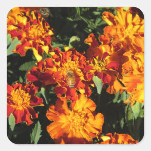 Marigolds with a Bee Square Sticker
