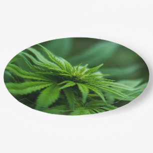Marijuana Paper Plate