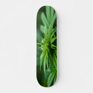 Marijuana Skateboard