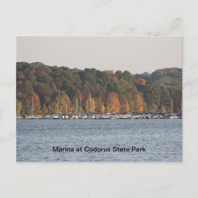 Marina at Codorus State Park Postcard (Front)