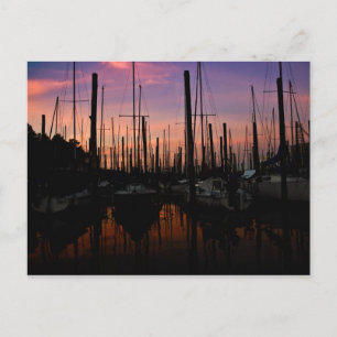 Marina at sunset postcard