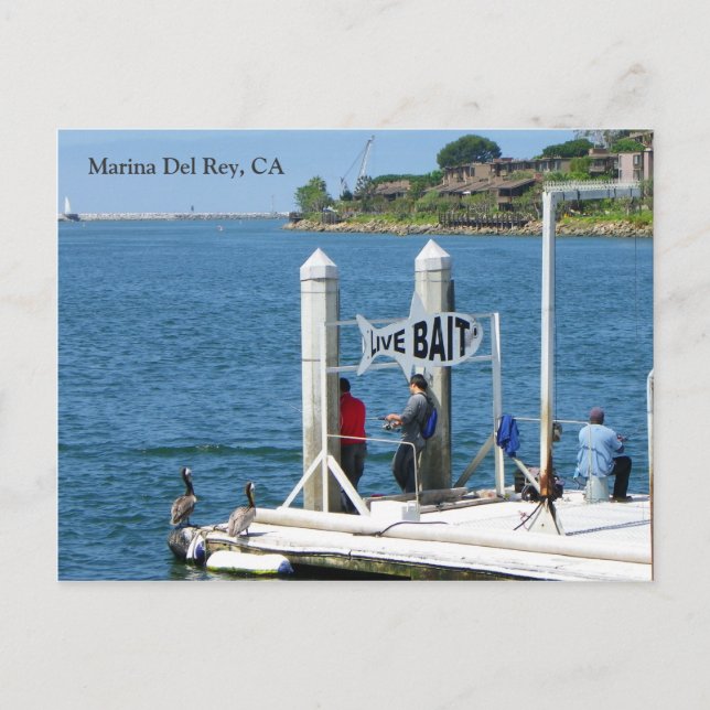 Marina Del Rey Fishing Postcard! Postcard (Front)