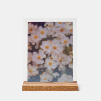 MARINA FILM ART ACRYLIC SIGN