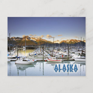 Marina in Seward, Alaska Postcard