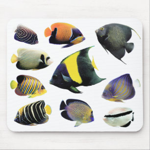 Marine Angelfishのマウスパッド,No.02 Mouse Pad