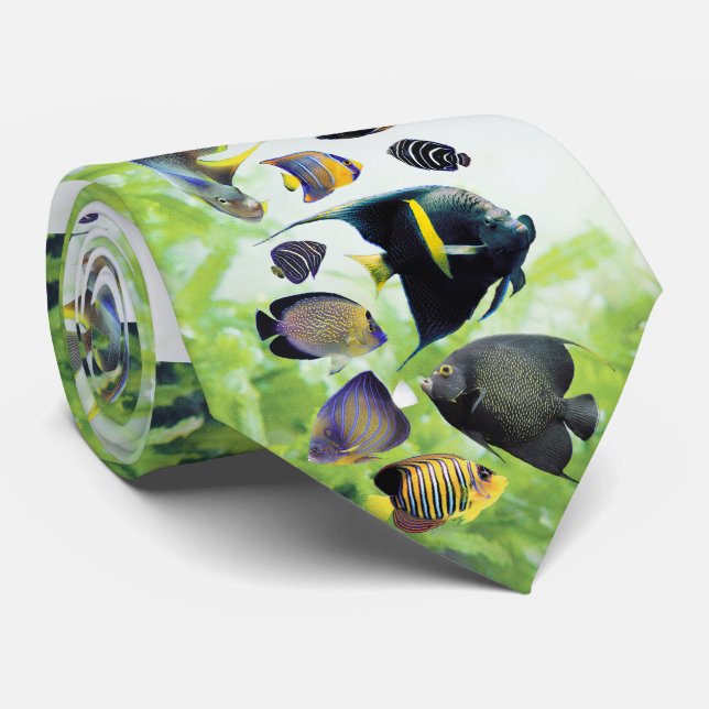 Marine angelfish tie (Rolled)
