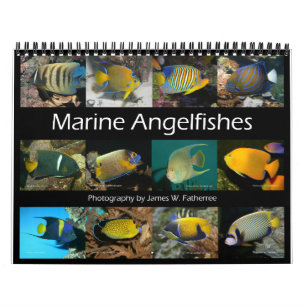 Marine Angelfishes Wall Calendar by J.W. Fatherree
