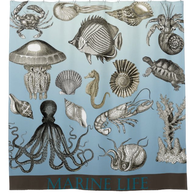 Marine Animal Life Shower Curtain (Front)