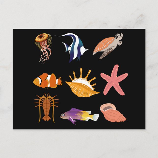 Marine animals: fish, turtle, seashell, jellyfish, postcard (Front)
