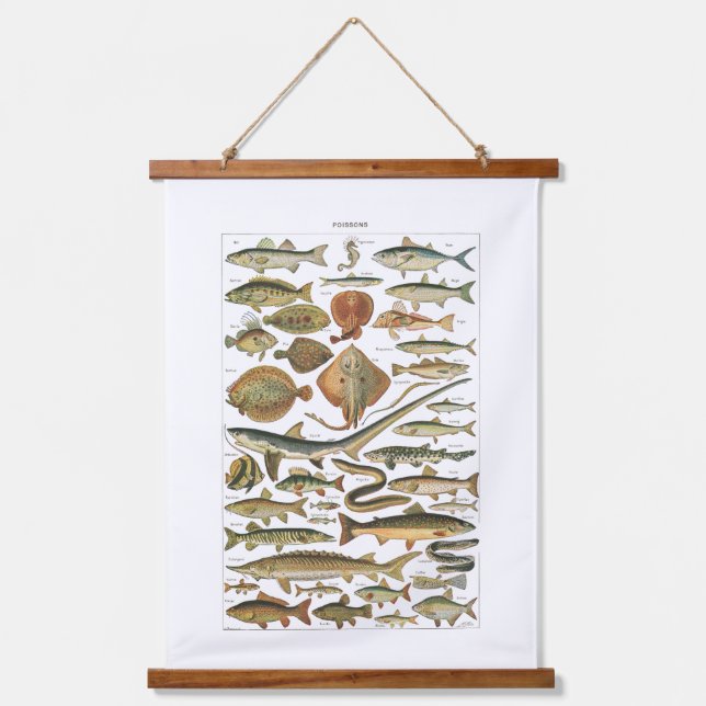 Marine biology aesthetic fish chart hanging tapestry (Front)