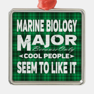 Marine Biology College Major Green Plaid Metal Ornament