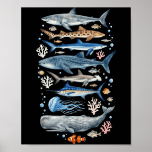 Marine Biology Sea Species Shark Whale Ocean Life Poster