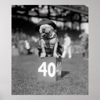 Marine Corps Mascot Jiggs: 1923