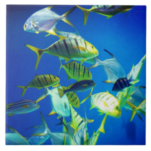 Marine Fish of Yellow with Black Stripes Ceramic Tile