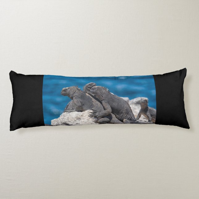Marine Iguana Body Cushion (Back)