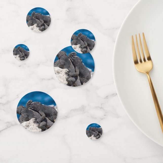 Marine Iguana Confetti (Group)