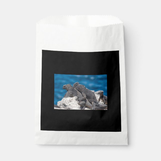 Marine Iguana Favour Bag (Front)
