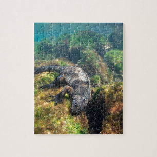 Marine iguana feeding underwater Galapagos Islands Jigsaw Puzzle