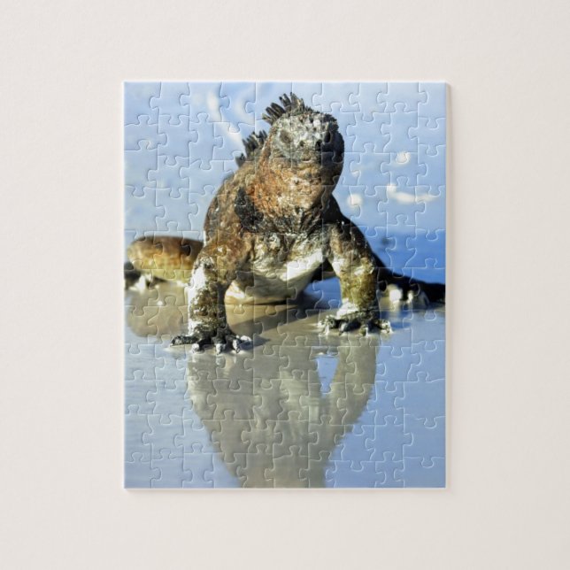 Marine iguana Galapagos Jigsaw Puzzle (Vertical)