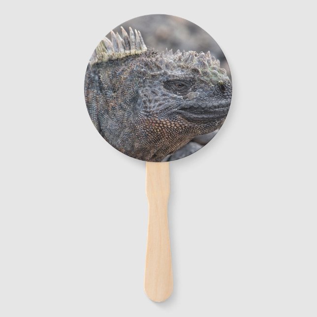 Marine Iguana Hand Fan (Front)
