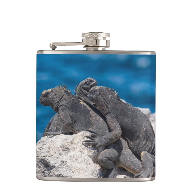Marine Iguana Hip Flask (Front)