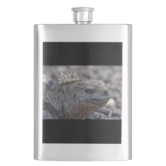 Marine Iguana Hip Flask (Front)