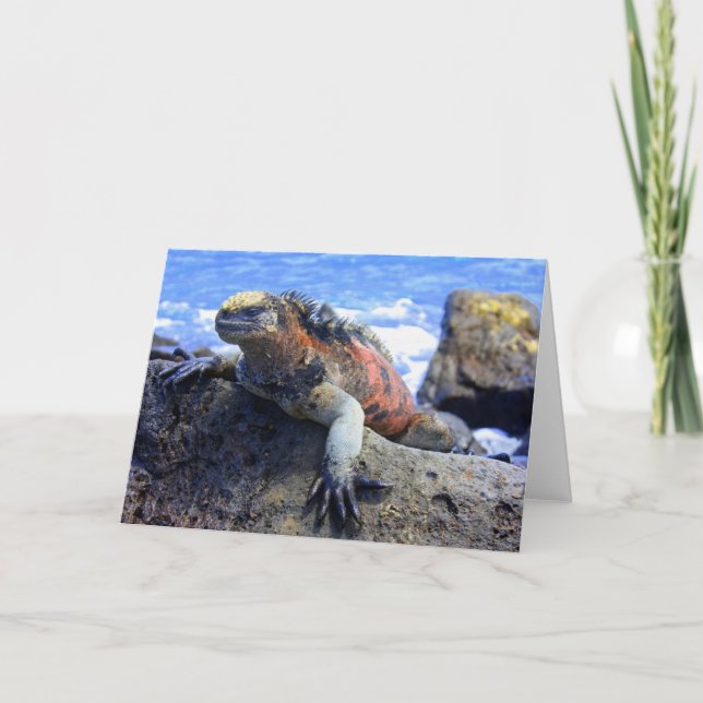 Marine Iguana Holiday Card (Front)