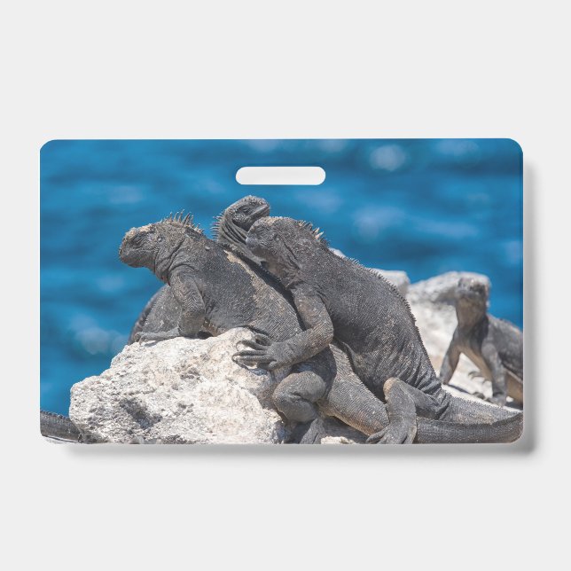 Marine Iguana ID Badge (Front)