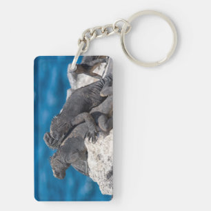 Marine Iguana Key Ring