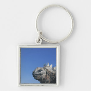 Marine Iguana Key Ring