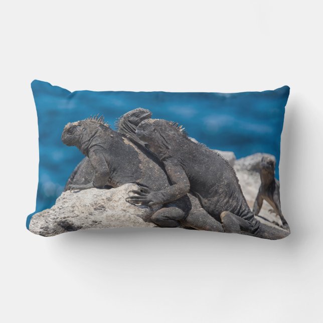 Marine Iguana Lumbar Cushion (Front)