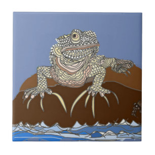 Marine Iguana on Rock with Hermit Crab Tile