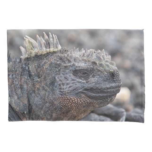 Marine Iguana Pillowcase (Front)
