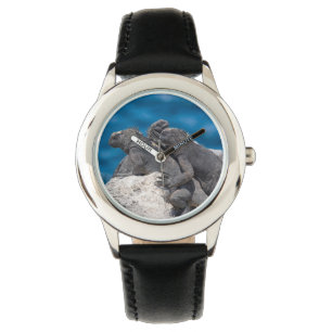 Marine Iguana Watch