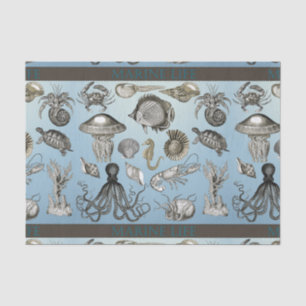 Marine Life 1 Tissue Paper
