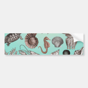 Marine Life Bumper Sticker