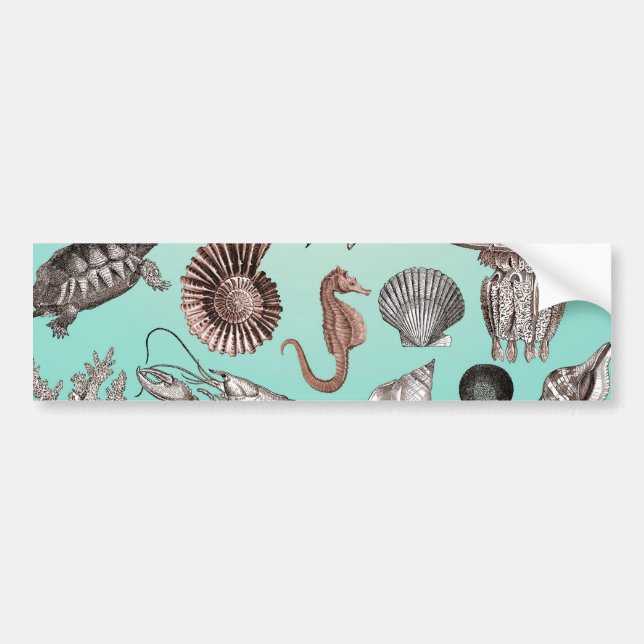 Marine Life Bumper Sticker (Front)